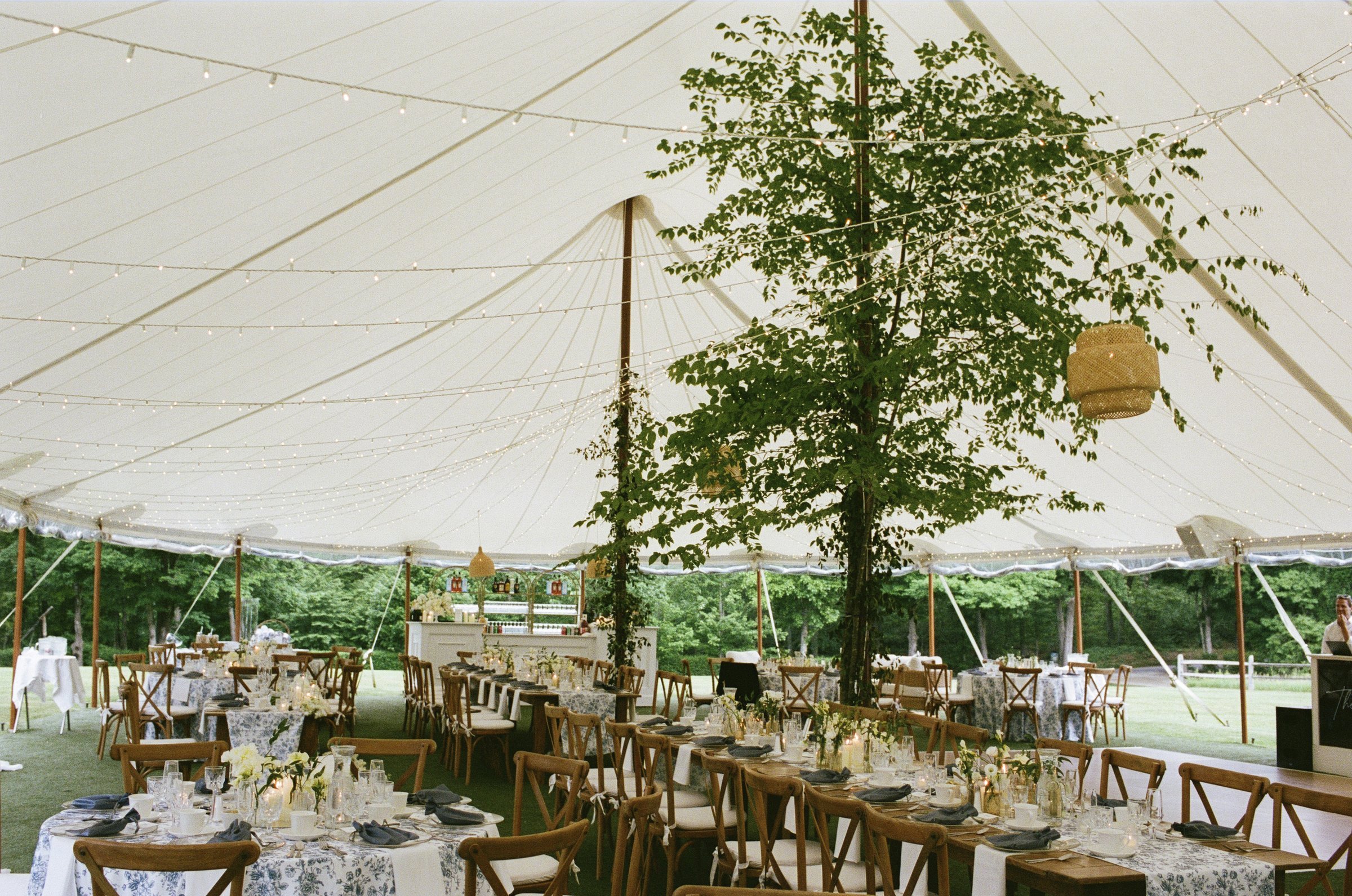 Inside the tent, with the live tree at its centre
