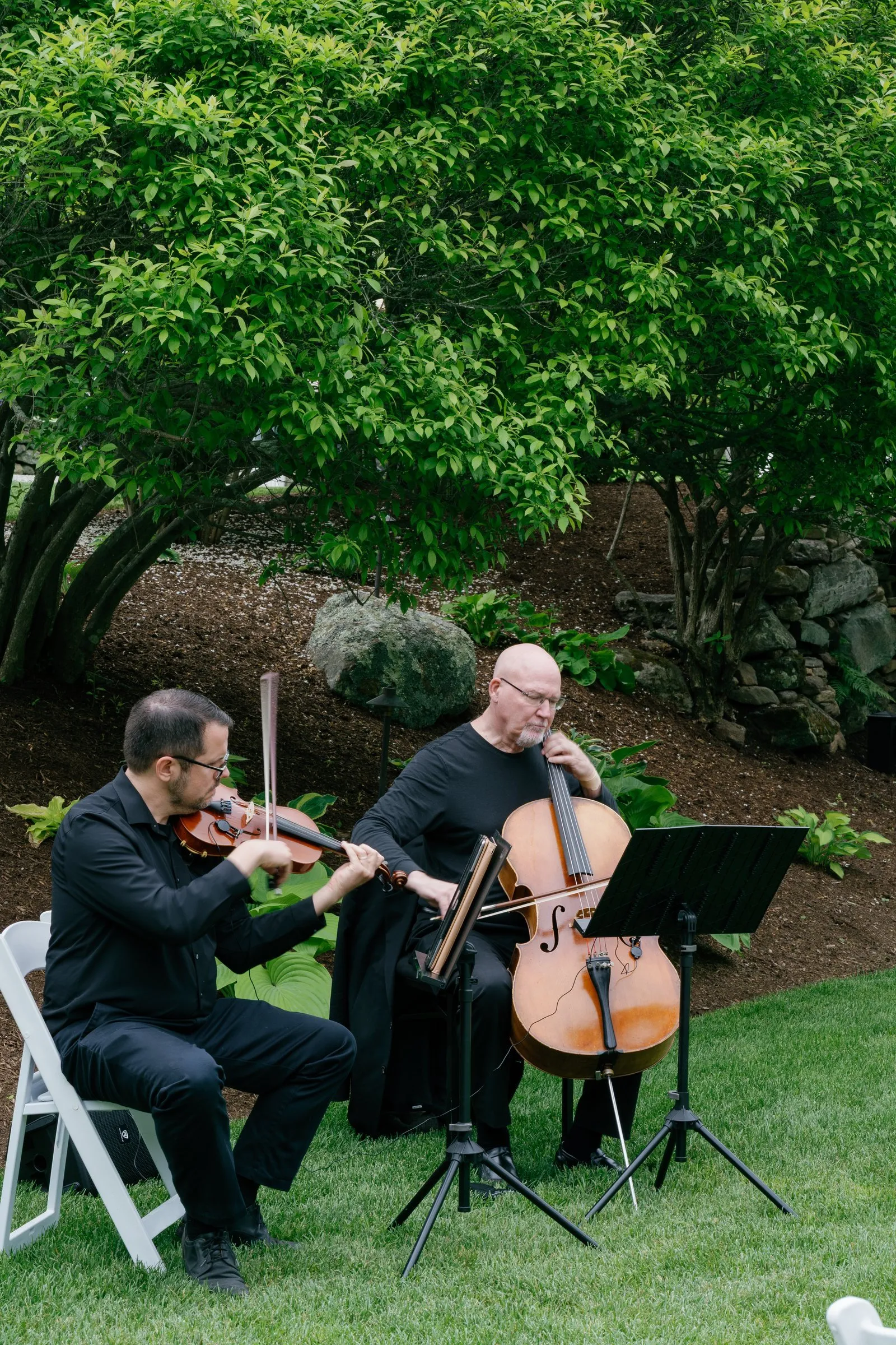 A string trio playing under the trees before the ceremony