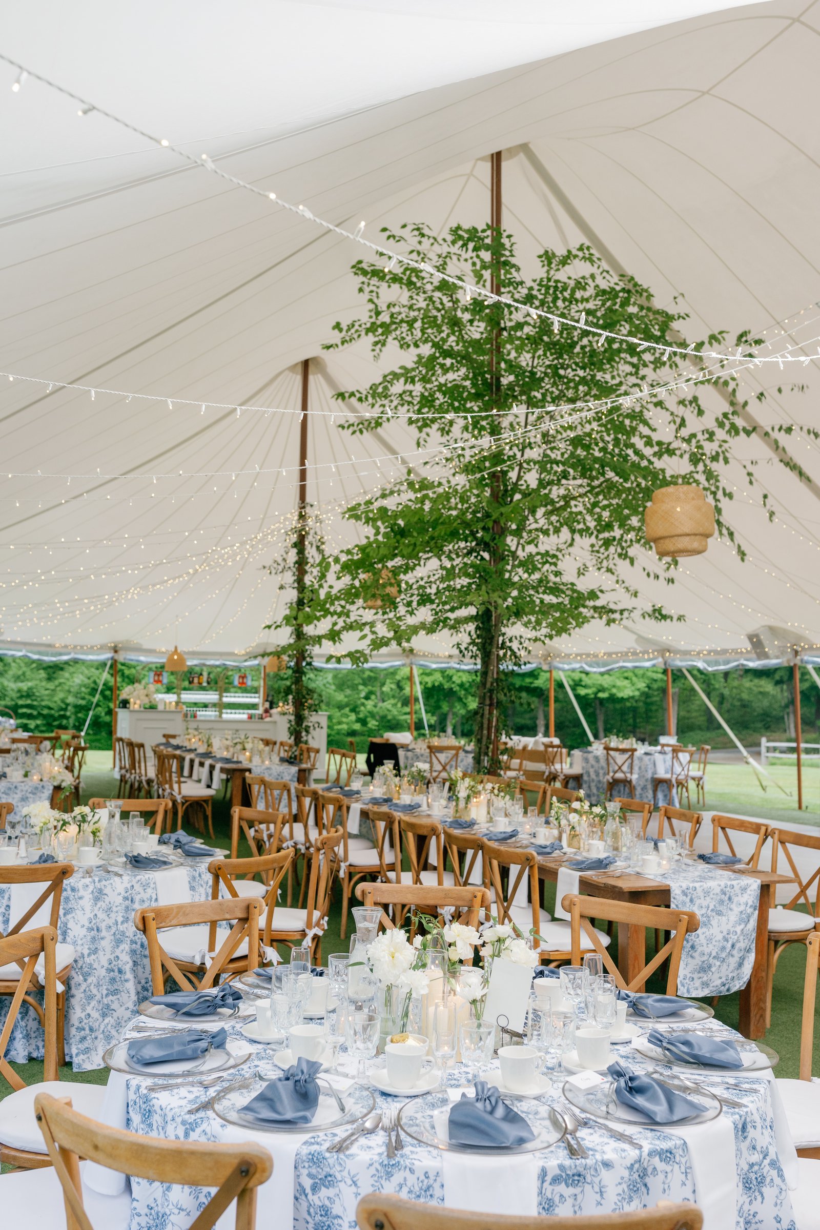 Inside the tent: birch trees, round tables in blue toile linen and cross-back chairs